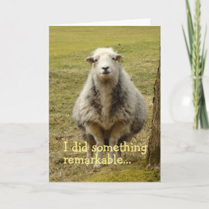 Sheep Birthday Card