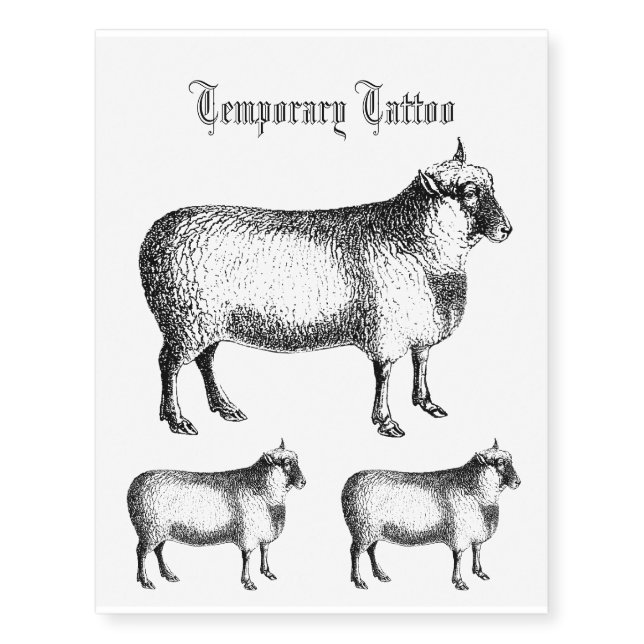 Sheep Black and White Illustration Temporary Tattoos (Front)