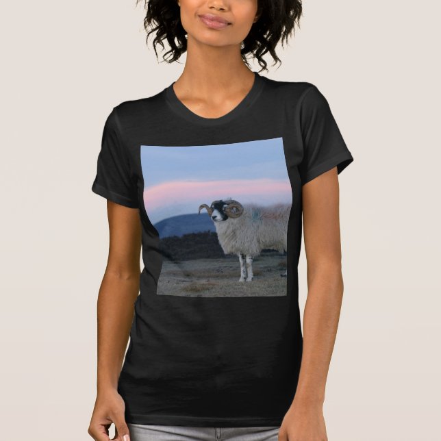 Sheep Black Fitted Ladies Tee Shirt (Front)