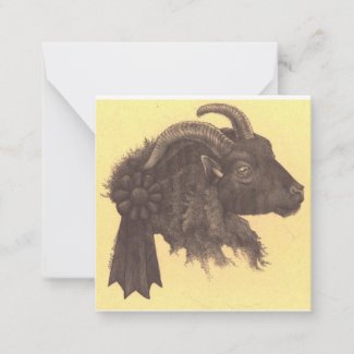 Sheep! BLANK Note Card