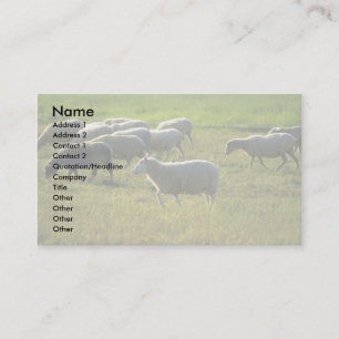 Sheep Business Card