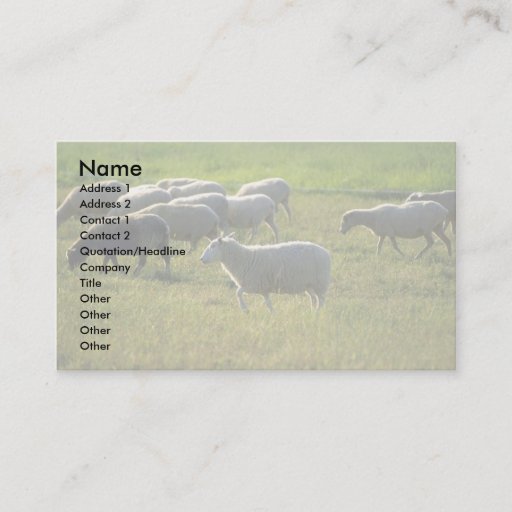 Customizable Sheep Business Cards