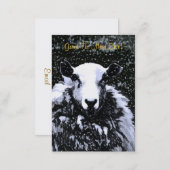 SHEEP BUSINESS CARD (Front/Back)