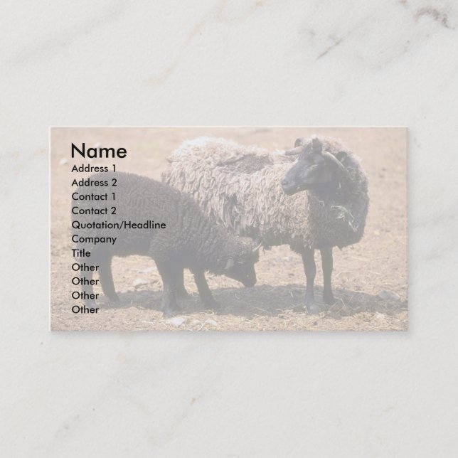 Sheep Business Card (Front)