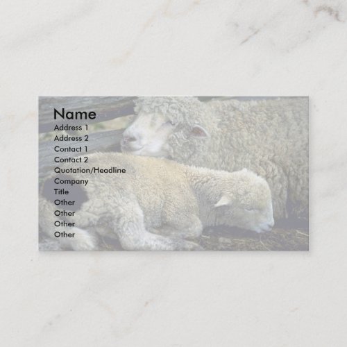 Sheep Business Cards