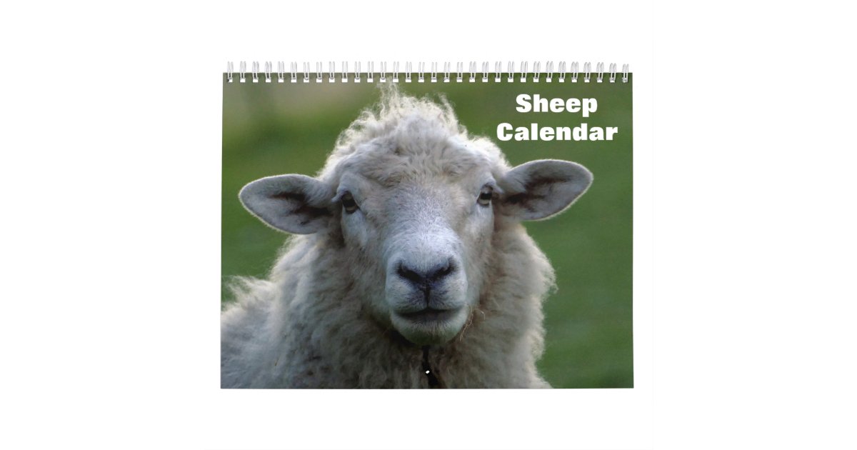 Sheep Calendar