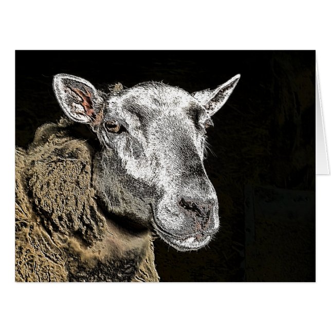 SHEEP CARD (Front Horizontal)