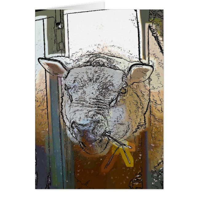 SHEEP card (Front)
