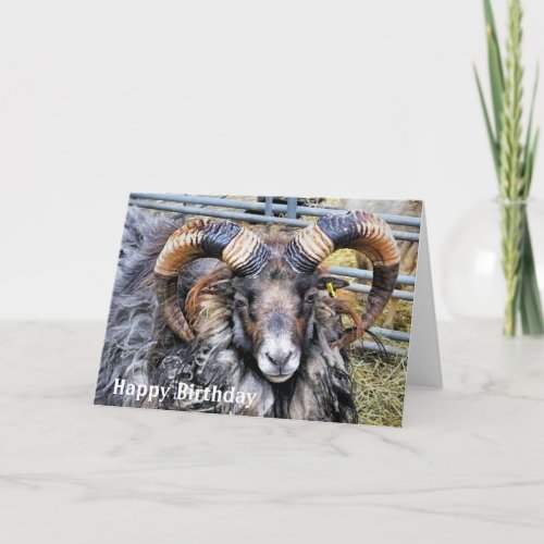 SHEEP CARD