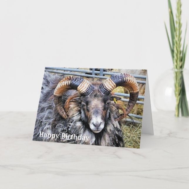 SHEEP CARD (Front)