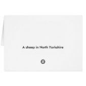 Sheep Cards (Back Horizontal)
