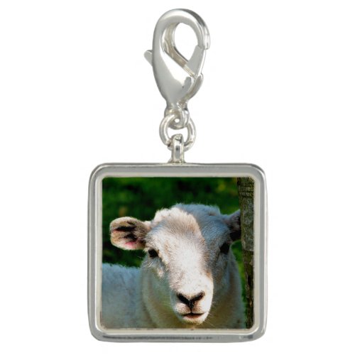 SHEEP CHARM