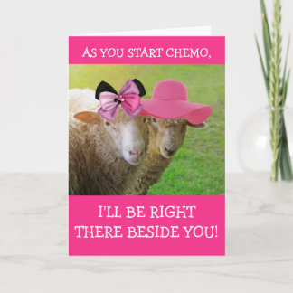 Sheep Chemo Cancer Support Card