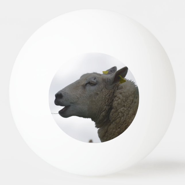 Sheep Chomping on Hay Ping-Pong Ball (Front)