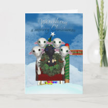 Sheep Christmas Card - Black Sheep Holiday Card