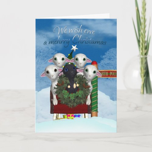 Sheep Christmas Card _ Black Sheep Holiday Card
