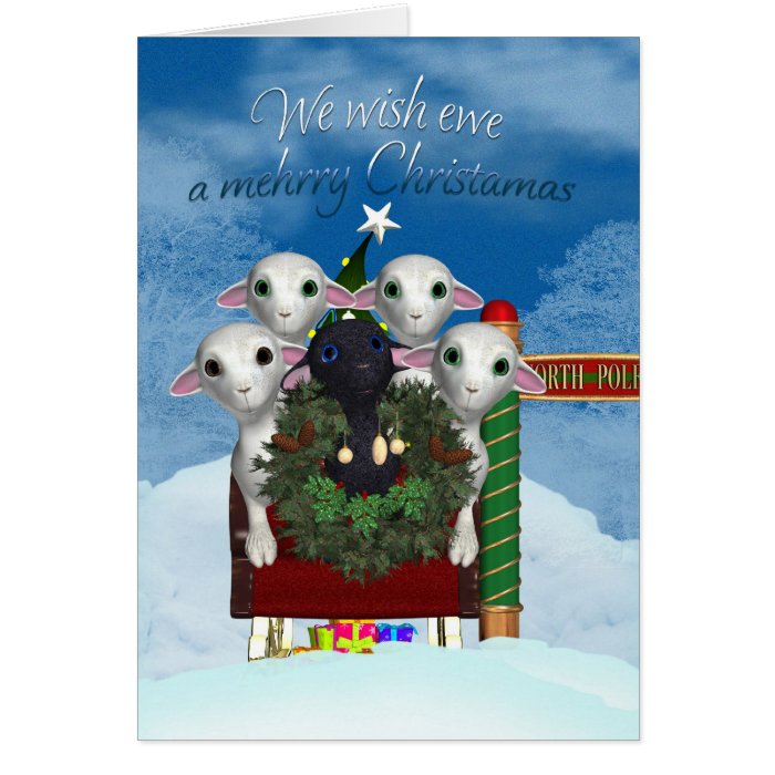 Sheep Christmas Card   Black Sheep Holiday Card