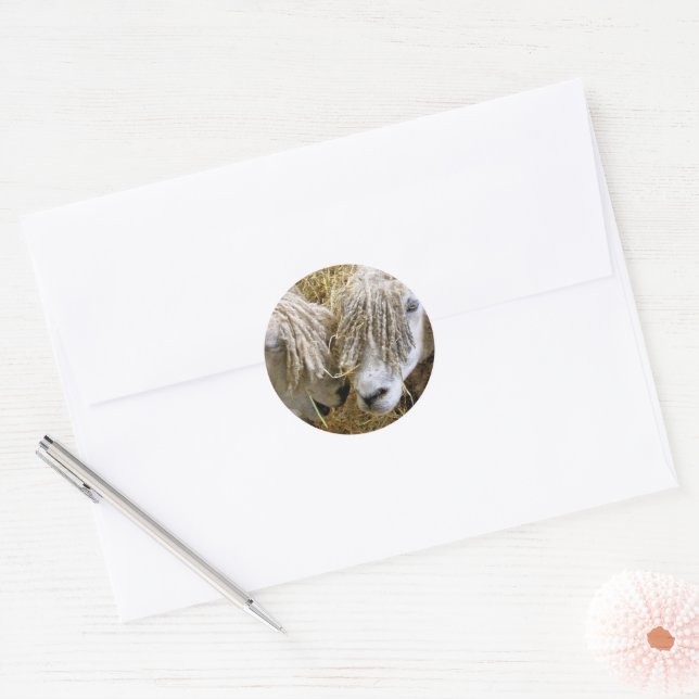 SHEEP CLASSIC ROUND STICKER (Envelope)