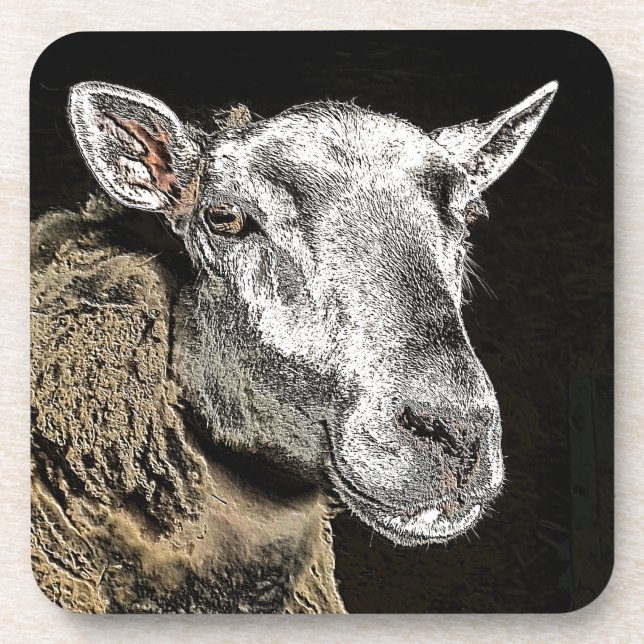SHEEP COASTER (Front)