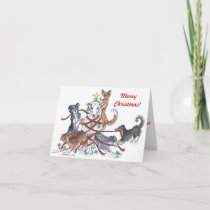 Sheep dog Christmas card