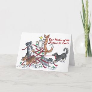 Sheep dog Holiday Card