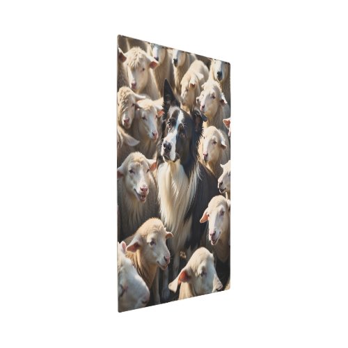 Sheep dog surrounded by sheep metal print