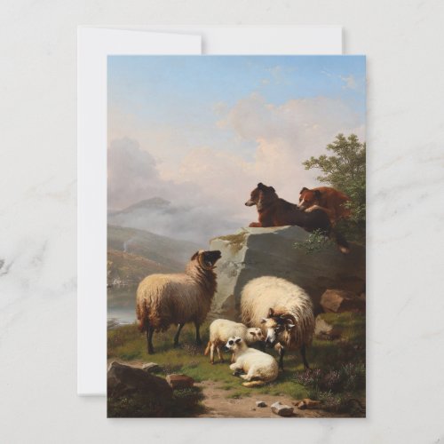 Sheep Dogs Guarding the Sheep Overlooking River Holiday Card