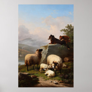 Sheep Dogs guarding the Sheep, Overlooking River Poster