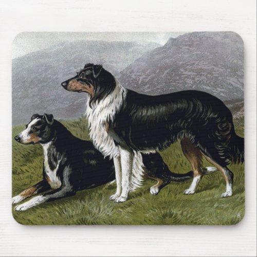 Sheep Dogs Painting 1881  C B Barber   Mouse Pad