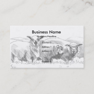 Sheep Drawing Business Cards