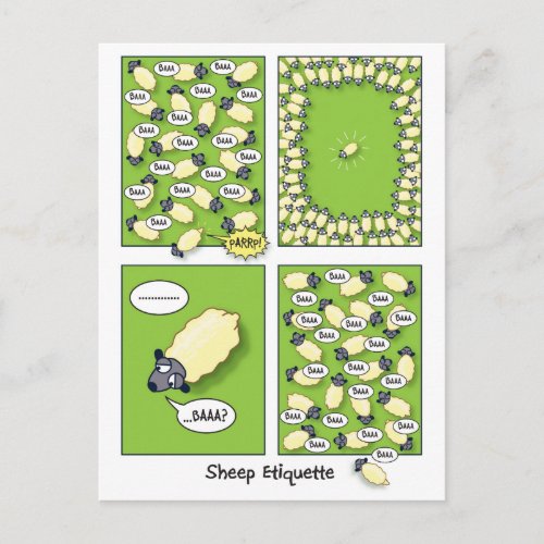 Sheep Etiquette Postcard
