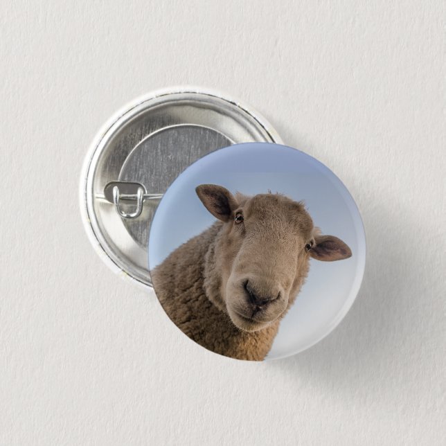 Sheep Face Close-up Looking Down Button (Front & Back)