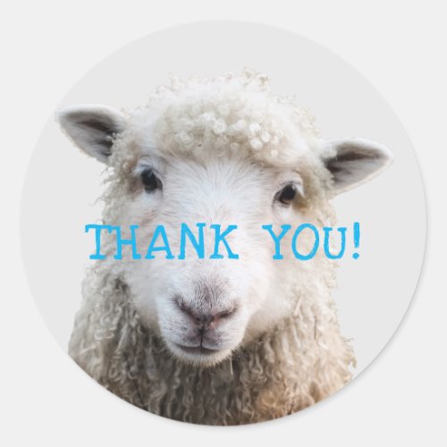 Sheep Face Knitting Business Thank_you Classic Round Sticker