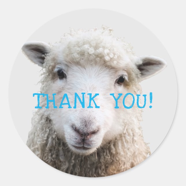 Sheep Face Knitting Business Thank-you Classic Round Sticker (Front)