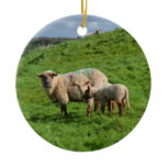 Sheep Family Ceramic Ornament