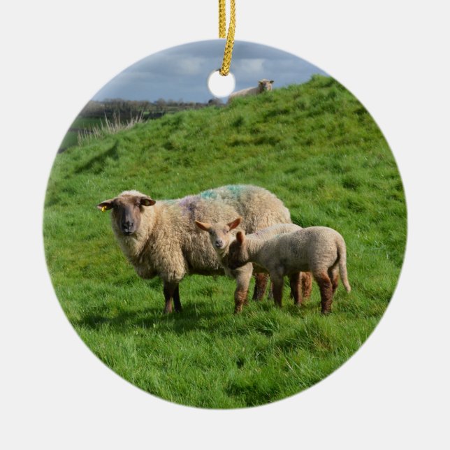 Sheep Family Ceramic Ornament (Front)