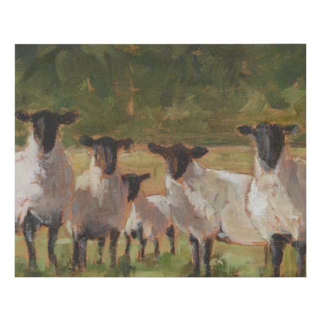 Sheep Family Faux Canvas Print (Front)