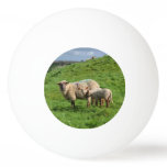 Sheep Family Ping-Pong Ball