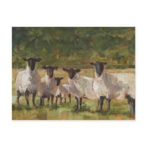 Sheep Family Postcard