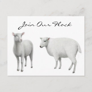 Sheep Farm Animal Invitations