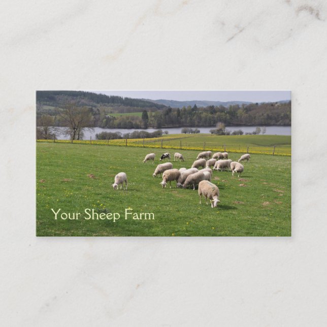 Sheep farm business card (Front)