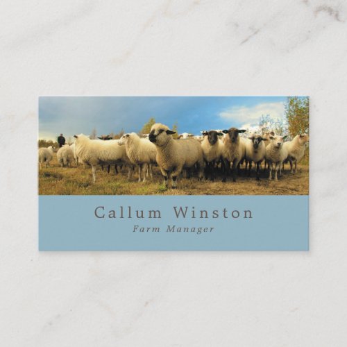 Sheep Farm Farmer  Butcher Business Card