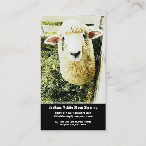 Sheep Farm or Shear Service Business Card Templates