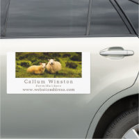 Sheep, Farmer & Butcher Car Magnet