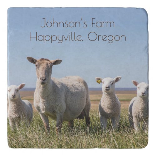 Sheep Farmer Lambs Animals in Field Trivet