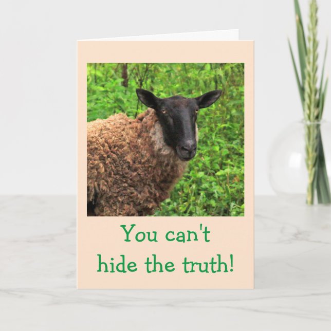 Sheep Flattery Birthday Card (Front)