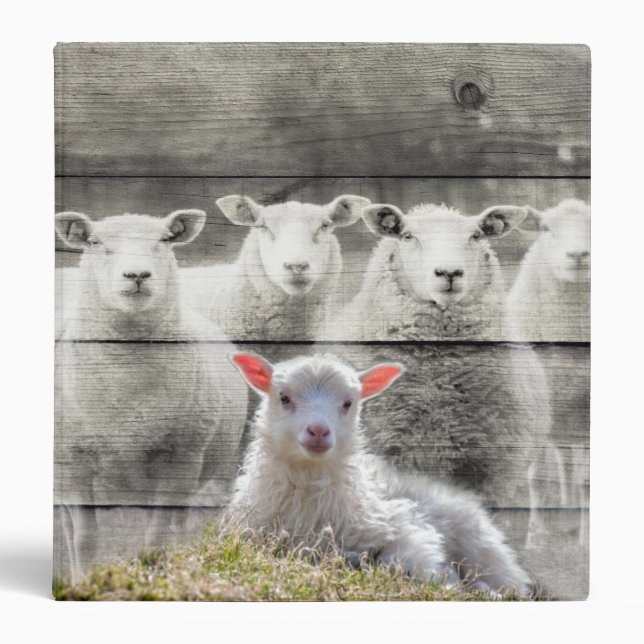 Sheep Flock Baby Lamb 3 Ring Binder (Front)