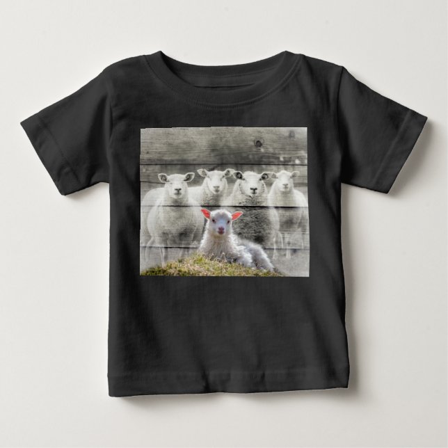 Sheep Flock Baby Lamb Baby T-Shirt (Front)