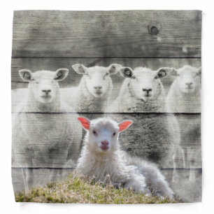 Sheep Flock Baby Lamb Bandana