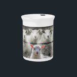 Sheep Flock Baby Lamb Beverage Pitcher<br><div class="desc">s</div>